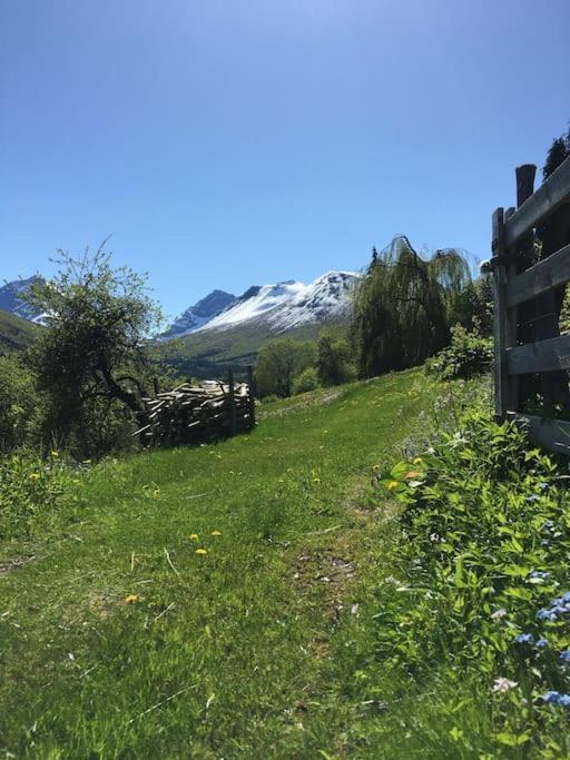 Moonvalley Lodge - Stort & Koselig Hus - Mandalen Exterior foto